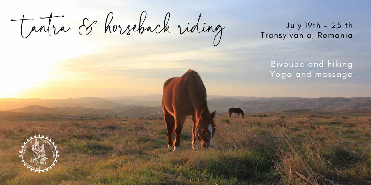 Seven days horseback riding journey in Transsylvania, Romania
