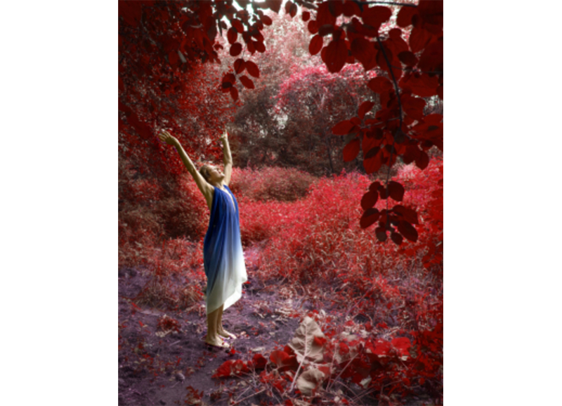 Manifestation Meditation