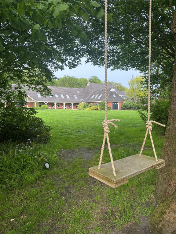 The Field swing