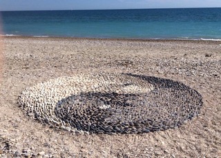 calendrier yin yang - skydancing tantra