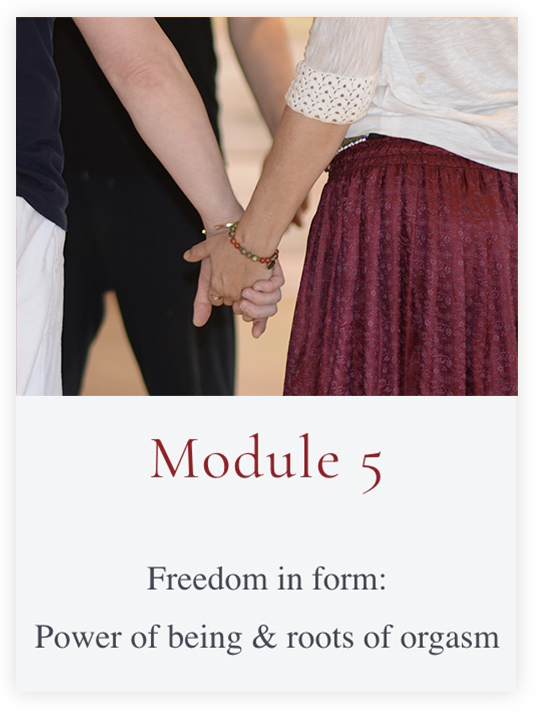 LET cycle 5 - Freedom in the form